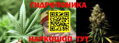 ECSTASY Донской